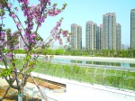 天河公園9500平方米頂層觀景平臺即將對外開放
